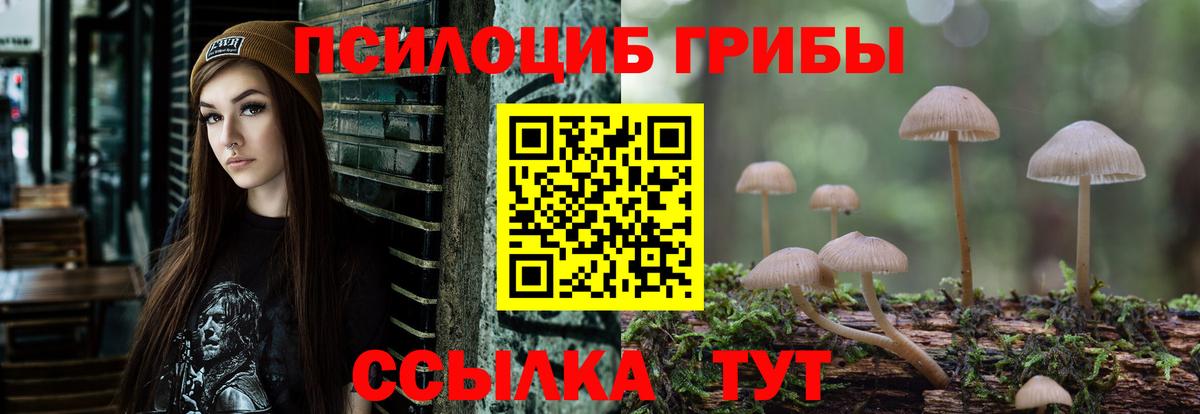 Галлюциногенные грибы Psilocybine cubensis  Вход с VPN  Армавир  Псилоцибиновые грибы Psilocybe 