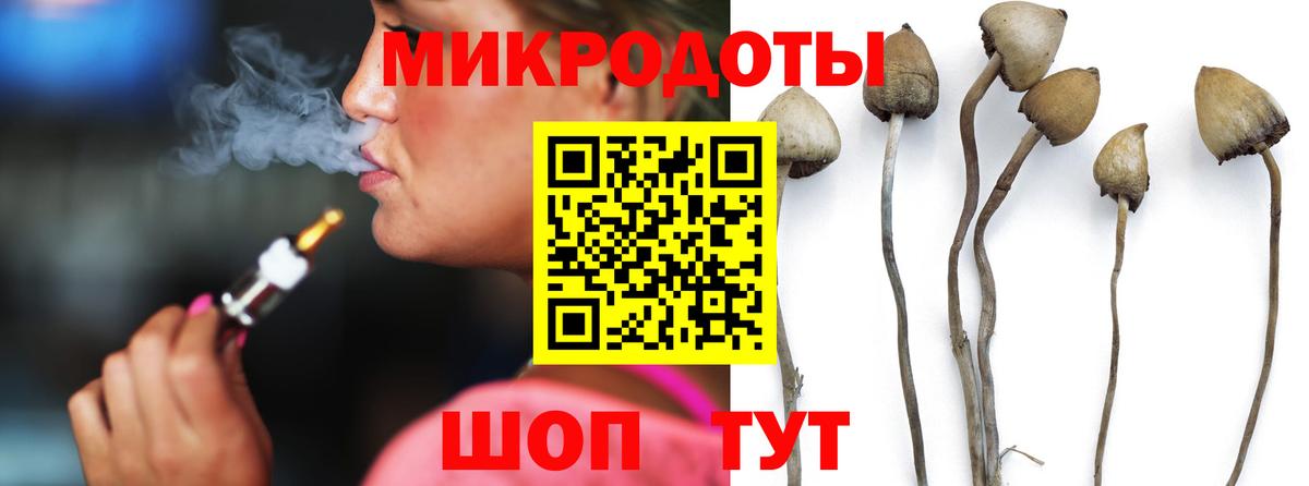 Галлюциногенные грибы Psilocybine cubensis Армавир